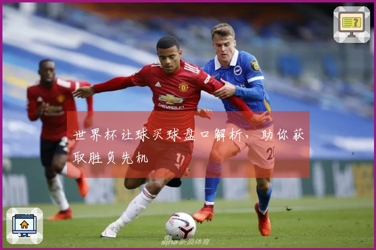 世界杯让球买球盘口解析，助你获取胜负先机