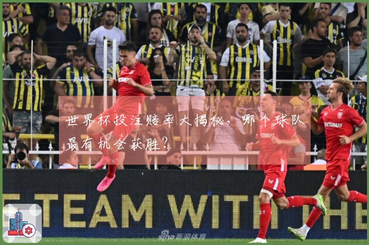世界杯投注赔率大揭秘，哪个球队最有机会获胜？