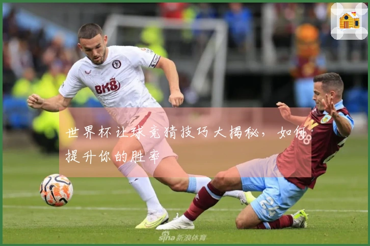 世界杯让球竞猜技巧大揭秘，如何提升你的胜率