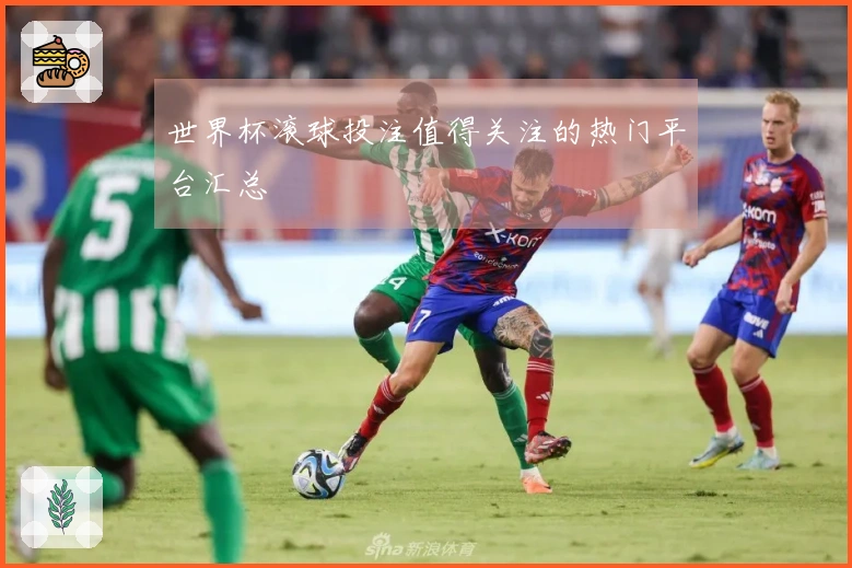世界杯滚球投注值得关注的热门平台汇总