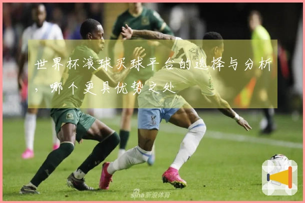 世界杯滚球买球平台的选择与分析，哪个更具优势之处