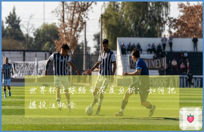 世界杯让球赔率深度分析：如何把握投注机会