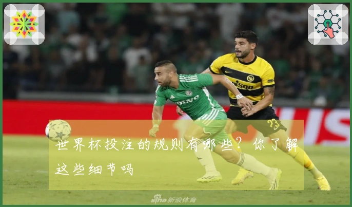 世界杯投注的规则有哪些？你了解这些细节吗