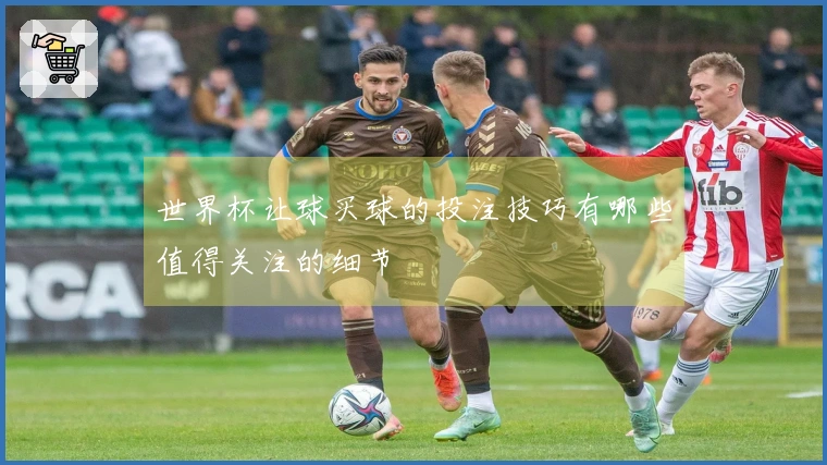 世界杯让球买球的投注技巧有哪些值得关注的细节