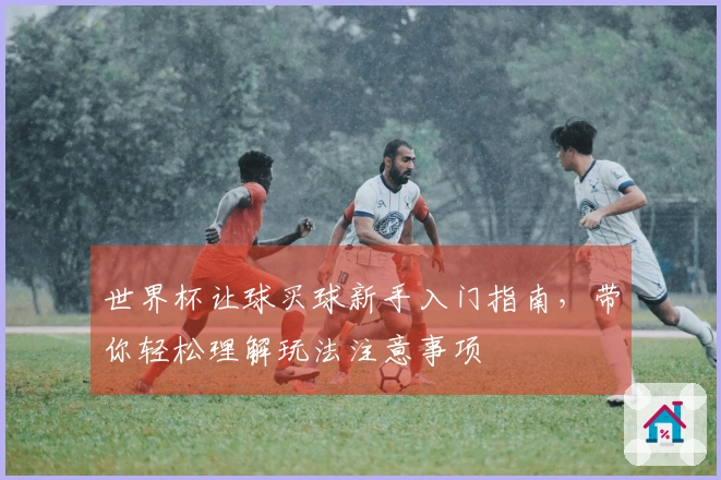 世界杯让球买球新手入门指南，带你轻松理解玩法注意事项