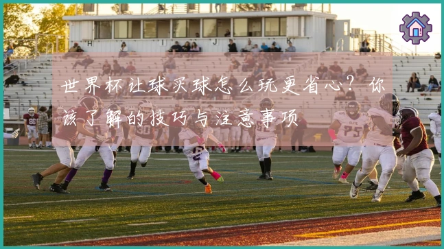 世界杯让球买球怎么玩更省心?你该了解的技巧与注意事项