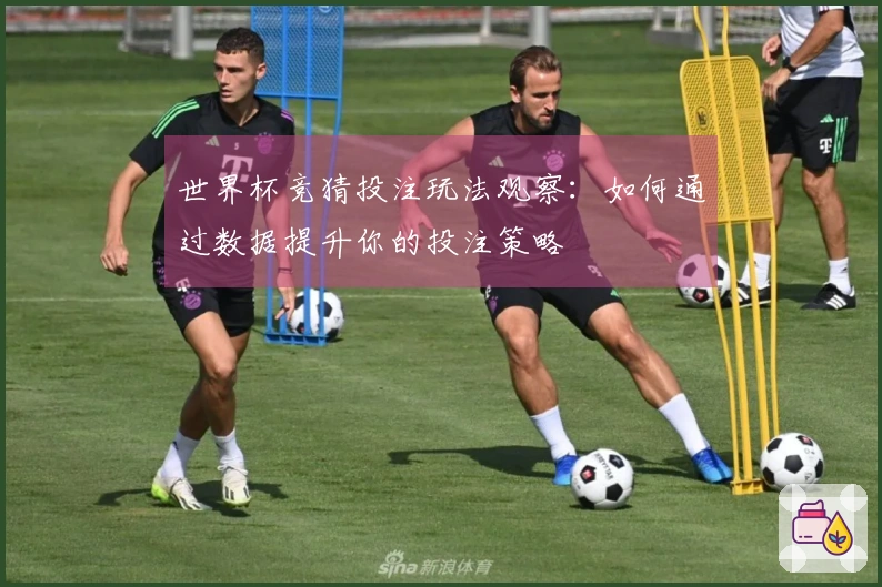 世界杯竞猜投注玩法观察：如何通过数据提升你的投注策略