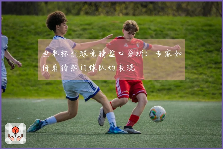 世界杯让球竞猜盘口分析：专家如何看待热门球队的表现