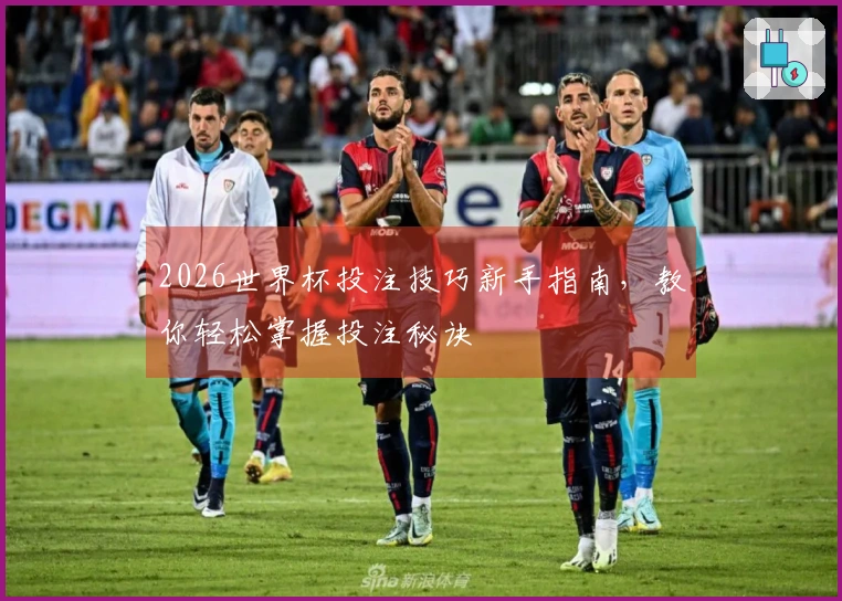 2026世界杯投注技巧新手指南，教你轻松掌握投注秘诀