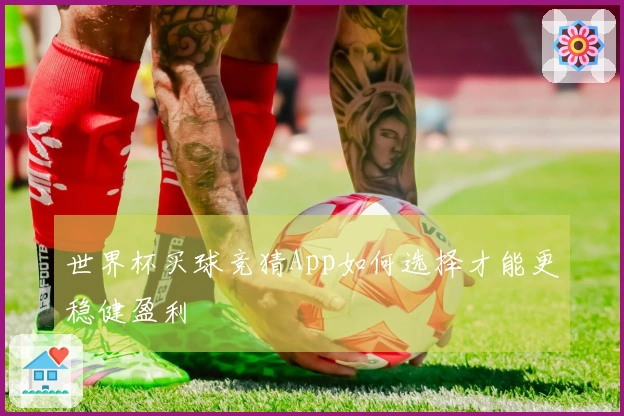 世界杯买球竞猜App如何选择才能更稳健盈利