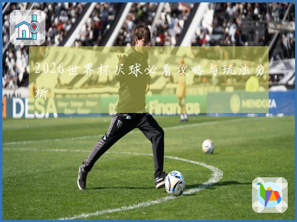 2026世界杯买球必看攻略与玩法分析