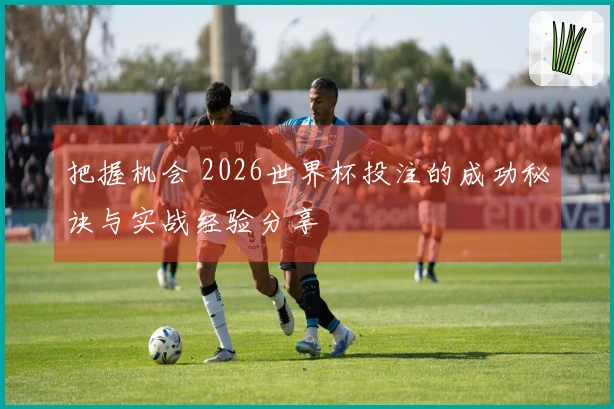 把握机会 2026世界杯投注的成功秘诀与实战经验分享