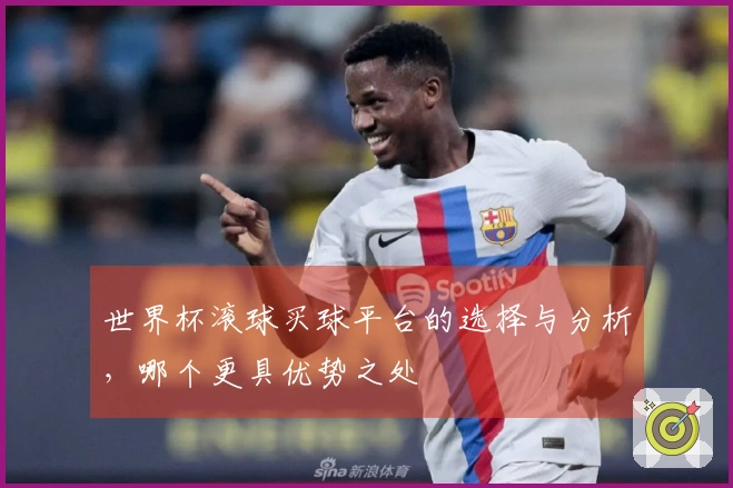世界杯滚球买球平台的选择与分析，哪个更具优势之处