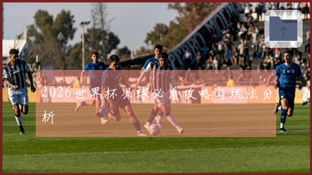 2026世界杯买球必看攻略与玩法分析