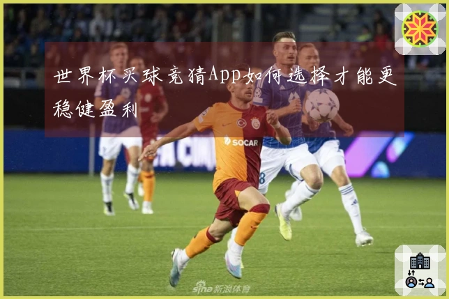 世界杯买球竞猜App如何选择才能更稳健盈利