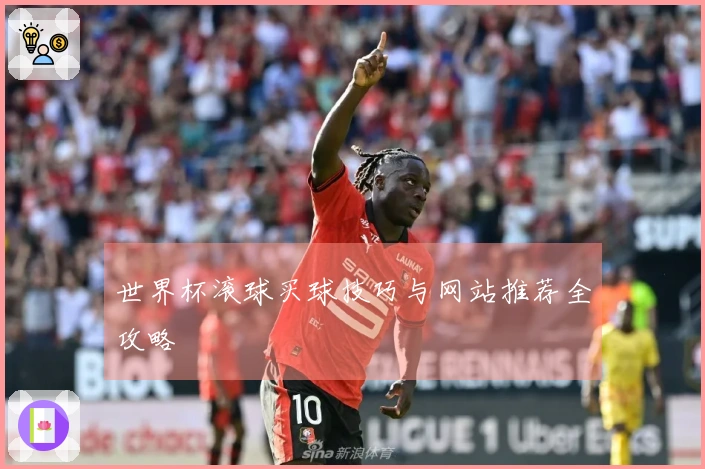 世界杯滚球买球技巧与网站推荐全攻略