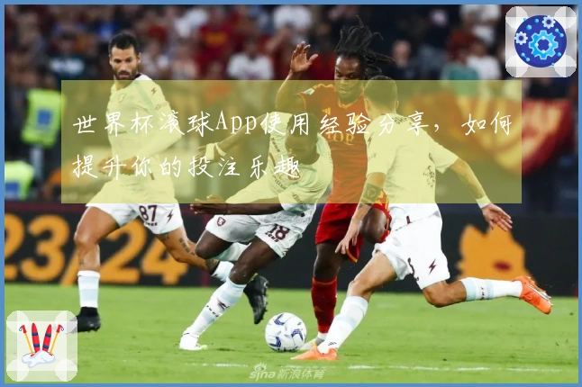 世界杯滚球App使用经验分享，如何提升你的投注乐趣