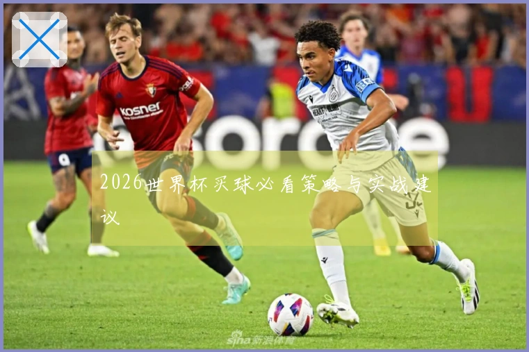 2026世界杯买球必看策略与实战建议