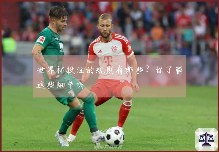 世界杯投注的规则有哪些？你了解这些细节吗