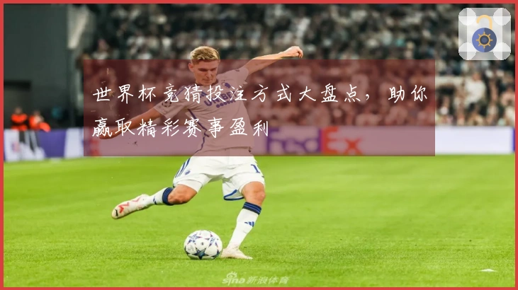 世界杯竞猜投注方式大盘点，助你赢取精彩赛事盈利