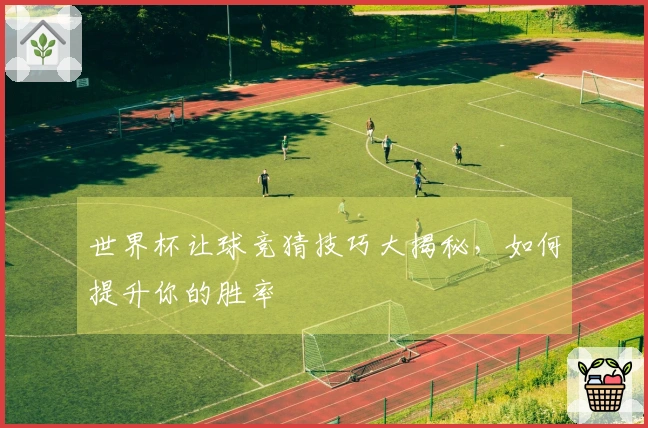 世界杯让球竞猜技巧大揭秘，如何提升你的胜率