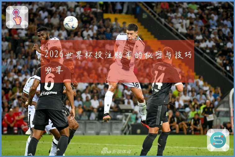 2026世界杯投注赔率的秘密与技巧分享
