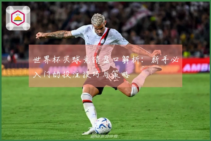 世界杯买球竞猜盘口解析:新手必入门的投注技巧与策略