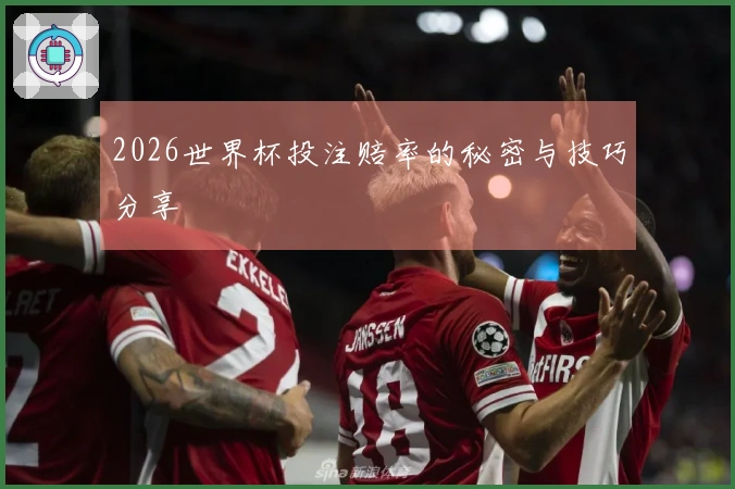 2026世界杯投注赔率的秘密与技巧分享